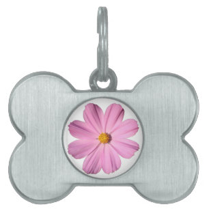 Pink Cosmos Pet Name Tag