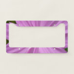 Pink Cosmos Wildflower Floral License Plate Frame