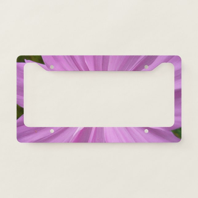 Pink Cosmos Wildflower Floral License Plate Frame (Front)