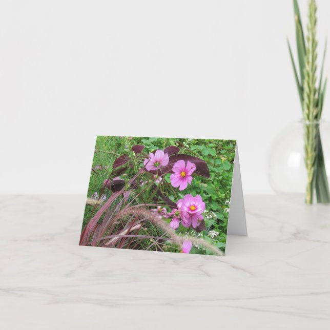 Pink Cosmos with Coleus Card (Front)