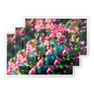 Pink Crab Apple Flowers Acrylic Tray