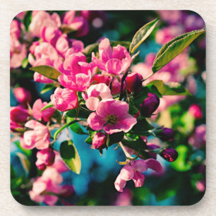 Pink Crab Apple Flowers Drink Coaster