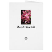 Pink Crabapple Cards (Back)