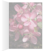 Pink Crabapple Cards (Inside (Right))