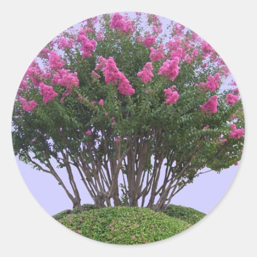 Pink Crape Myrtle Mound Stickers