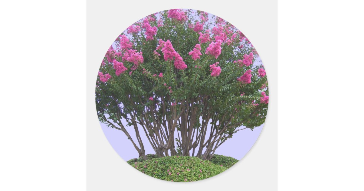 Pink Crape Myrtle Mound Stickers | Zazzle