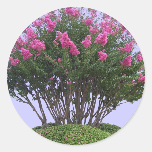 Pink Crape Myrtle Mound Stickers (Front)