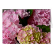 Pink Cream Hydrangeas yellow pink green floral (Front Horizontal)