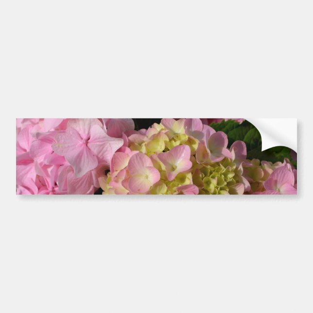 Pink Cream Hydrangeas yellow pink green floral  Bumper Sticker (Front)