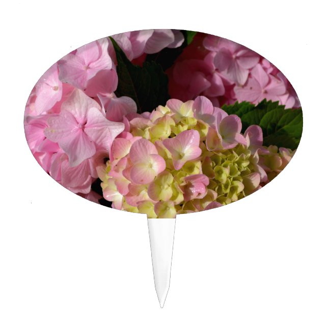 Pink Cream Hydrangeas yellow pink green floral  Cake Topper (Front)