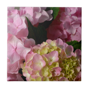 Pink Cream Hydrangeas yellow pink green floral  Ceramic Tile