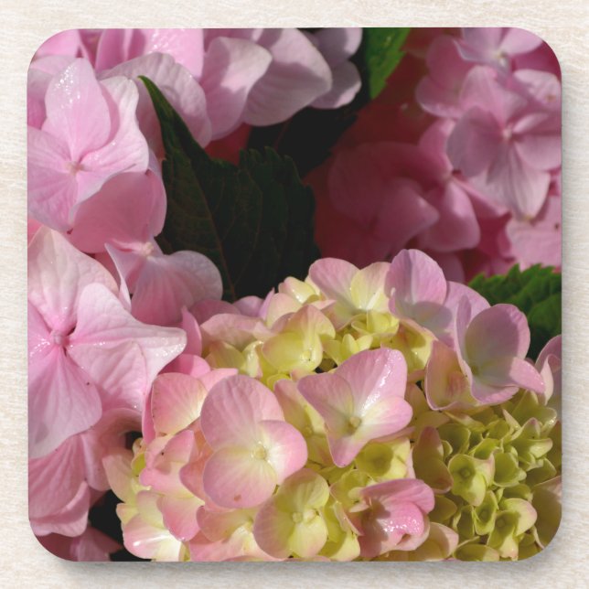 Pink Cream Hydrangeas yellow pink green floral  Coaster (Front)