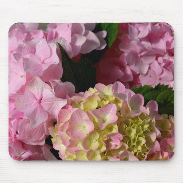Pink Cream Hydrangeas yellow pink green floral  Mouse Pad (Front)