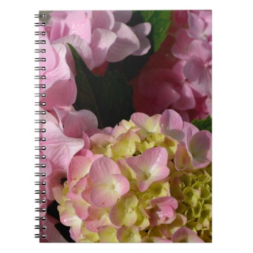 Pink Cream Hydrangeas yellow pink green floral  Notebook