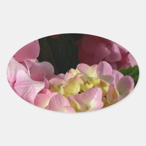 Pink Cream Hydrangeas yellow pink green floral  Oval Sticker