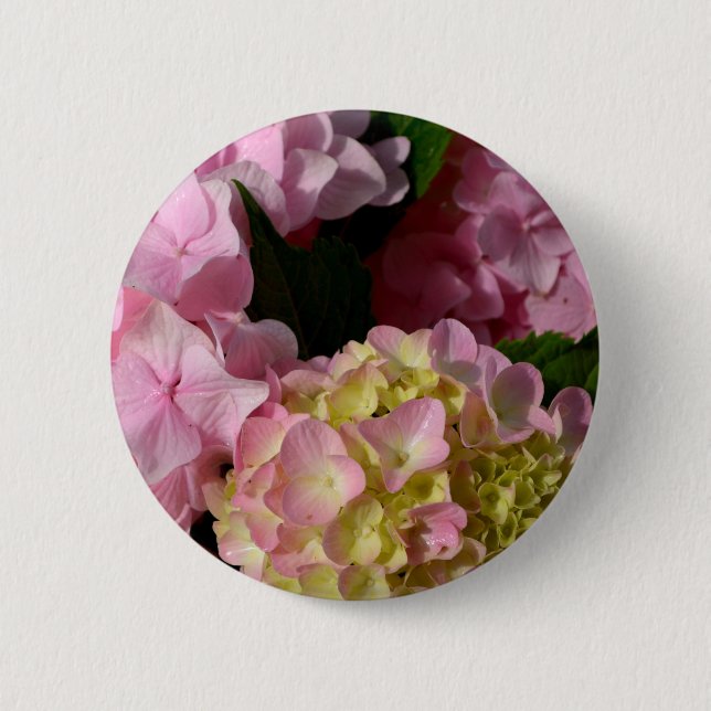 Pink Cream Hydrangeas yellow pink green floral  Pinback Button (Front)
