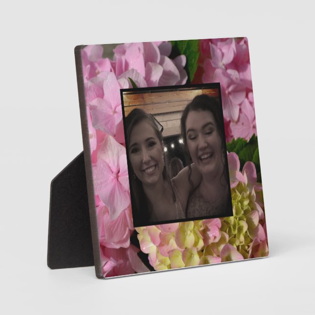 Pink Cream Hydrangeas yellow pink green floral  Plaque (Front)