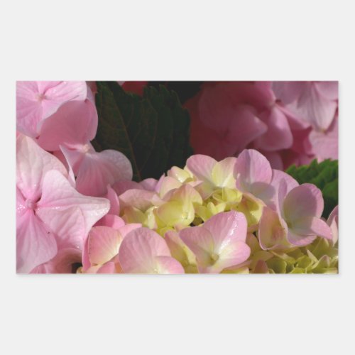 Pink Cream Hydrangeas yellow pink green floral  Rectangular Sticker