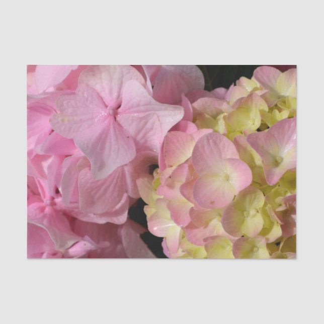 Pink Cream Hydrangeas yellow pink green floral  Tissue Paper (Front)