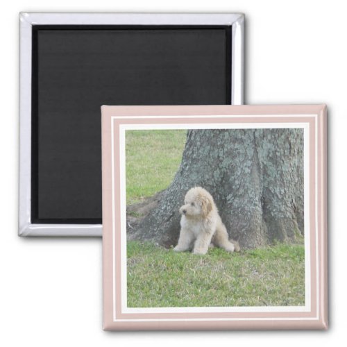 Pink Create Your Own Custom Personalized Photo Magnet