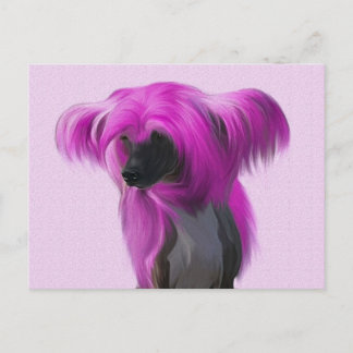 Pink Crestie Postcard