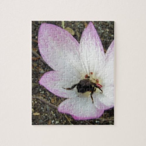 Pink Crocus with Bumblebee Jigsaw Puzzle