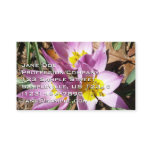 Pink Crocuses Spring Floral Business Card