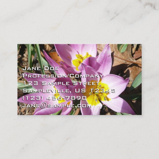 Pink Crocuses Spring Floral Business Card (Front)
