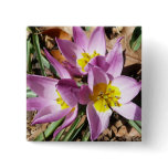 Pink Crocuses Spring Floral Button