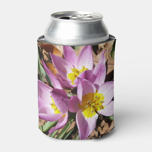Pink Crocuses Spring Floral Can Cooler (Can Front)