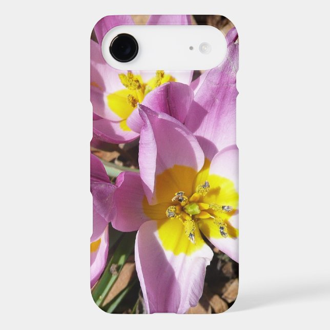 Pink Crocuses Spring Floral Case-Mate iPhone Case (Back)