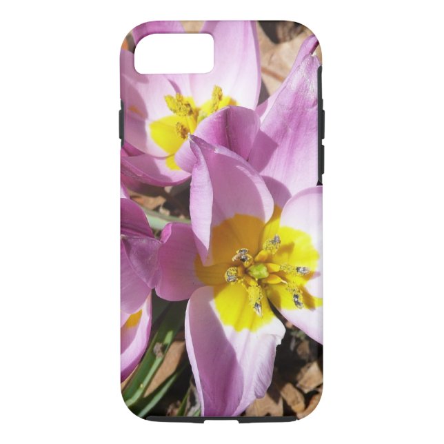 Pink Crocuses Spring Floral Case-Mate iPhone Case (Back)
