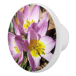 Pink Crocuses Spring Floral Ceramic Knob