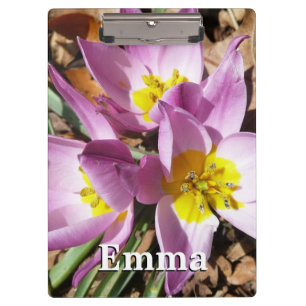 Pink Crocuses Spring Floral Clipboard