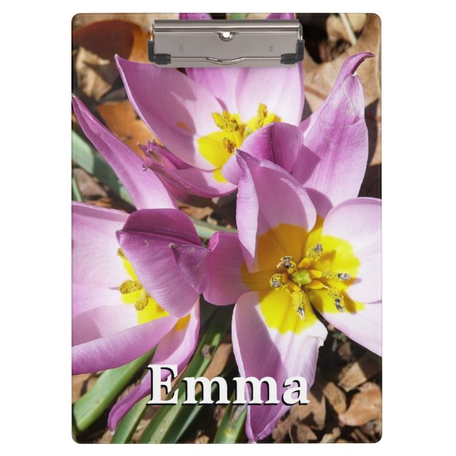 Pink Crocuses Spring Floral Clipboard (Front)