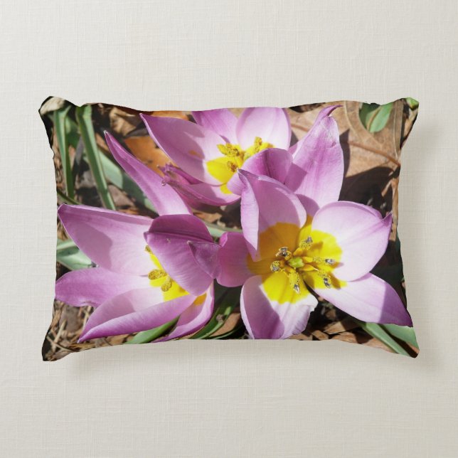 Pink Crocuses Spring Floral Decorative Pillow (Front)