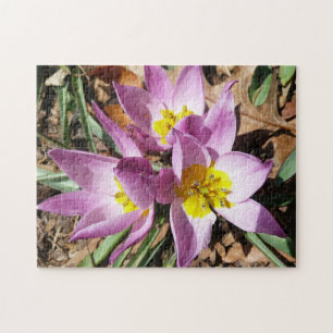 Pink Crocuses Spring Floral Jigsaw Puzzle