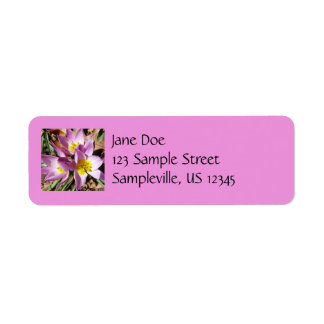 Pink Crocuses Spring Floral Label