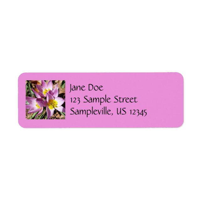 Pink Crocuses Spring Floral Label (Front)