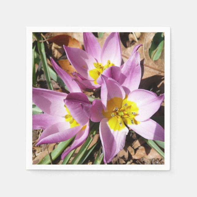 Pink Crocuses Spring Floral Paper Napkins (Front)