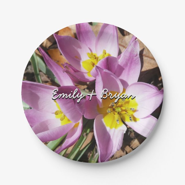 Pink Crocuses Spring Floral Paper Plates (Front)