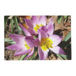 Pink Crocuses Spring Floral Placemat