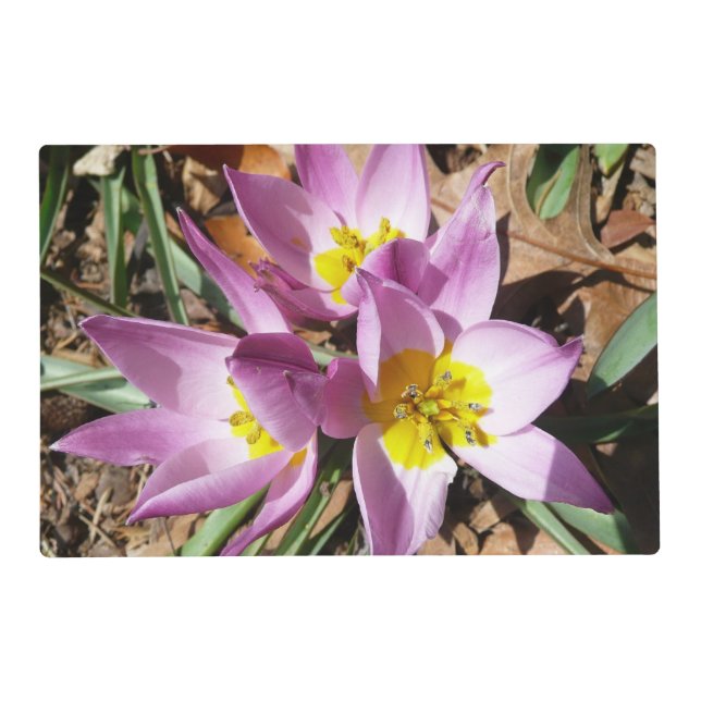 Pink Crocuses Spring Floral Placemat (Front)