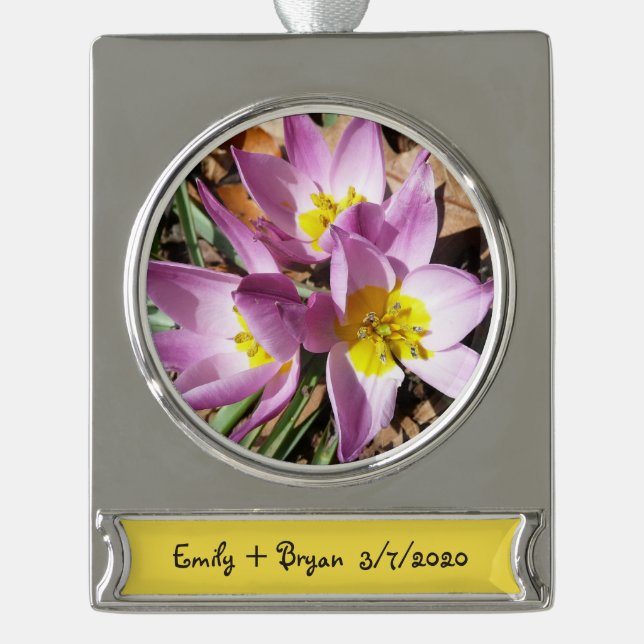 Pink Crocuses Spring Floral Silver Plated Banner Ornament (Front)