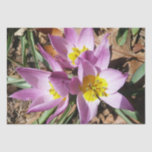 Pink Crocuses Spring Floral Tissue Paper