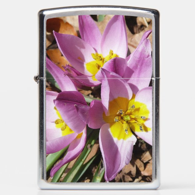 Pink Crocuses Spring Floral Zippo Lighter (Front)