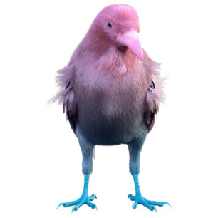 Pink Crow Cutout
