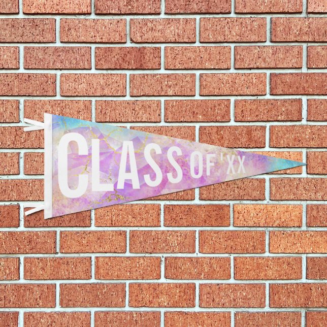 Pink Crystal Graduation Class Of 2026 Custom Year Pennant Flag (Front)