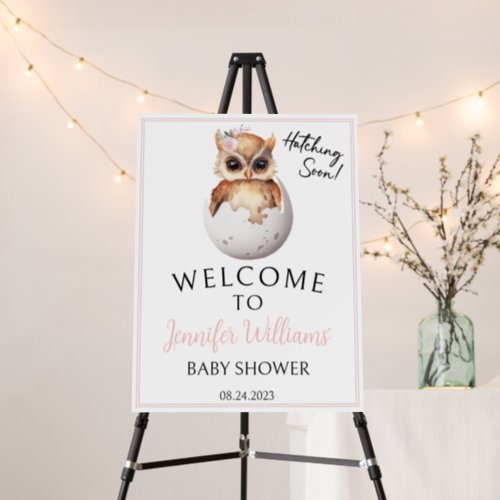 Pink cute hatching owl baby shower welcome sign