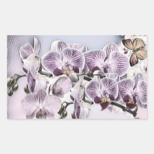 Pink cute orchid flowers and butterfly drawing rectangular sticker